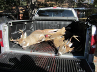 71513_10151165441675997_2089164256_n 71513_10151165441675997_2089164256_n