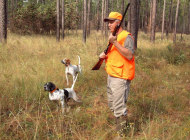 hunter-613455_960_720 hunter-613455_960_720