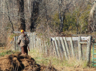 hunter-67002_960_720 hunter-67002_960_720