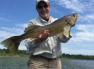 11429964_10152831087830997_2637255042612895420_n 11429964_10152831087830997_2637255042612895420_n