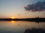 OLYMPUS DIGITAL CAMERA OLYMPUS DIGITAL CAMERA