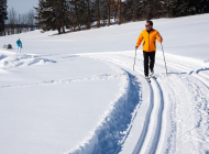 cross-country-skiing-624253_960_720 cross-country-skiing-624253_960_720